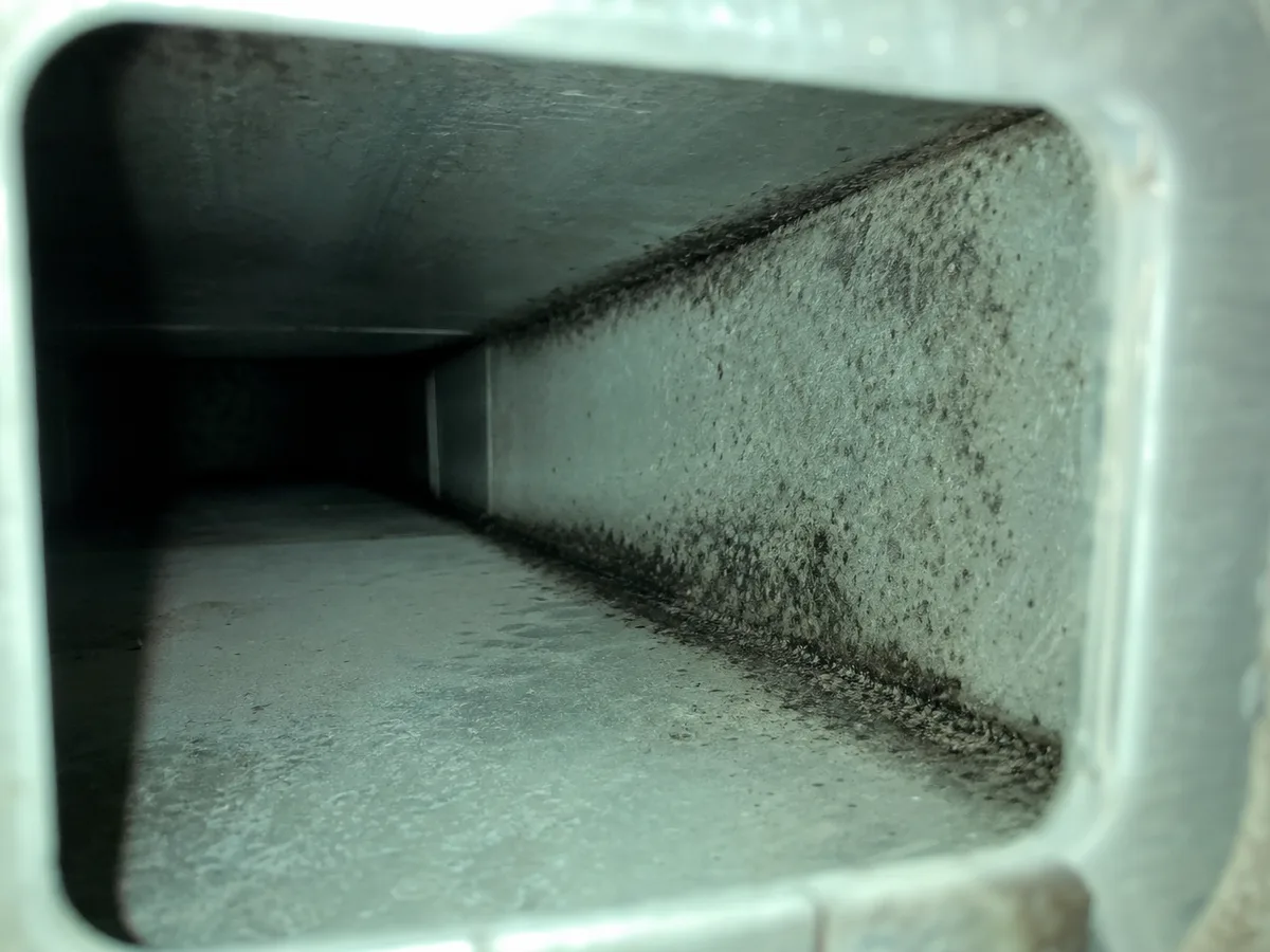 Air Duct Mold Removal in Fremont, CA